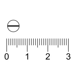 Kruidvat Knoflook Capsules Discount