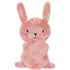 Kruidvat Konijn Knisperknuffel roze Clearance