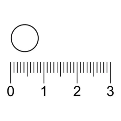 Kruidvat Science Vitamine B12 Zuigtabletten New