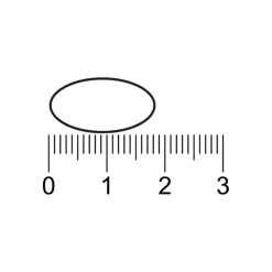 Kruidvat Vitamine B-100 Complex Tabletten Online