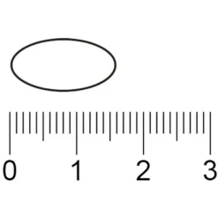 Kruidvat Vitamine C-500 Tabletten Online