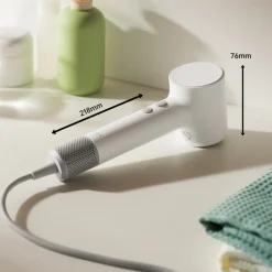 Laifen Mini High Speed Ionische Föhn Best