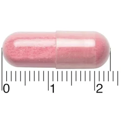 Leefvitaal Cranberry + Probiotica Capsules Outlet