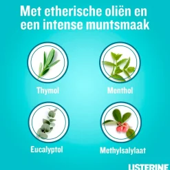 Listerine Cool Mint Mondspoeling Online