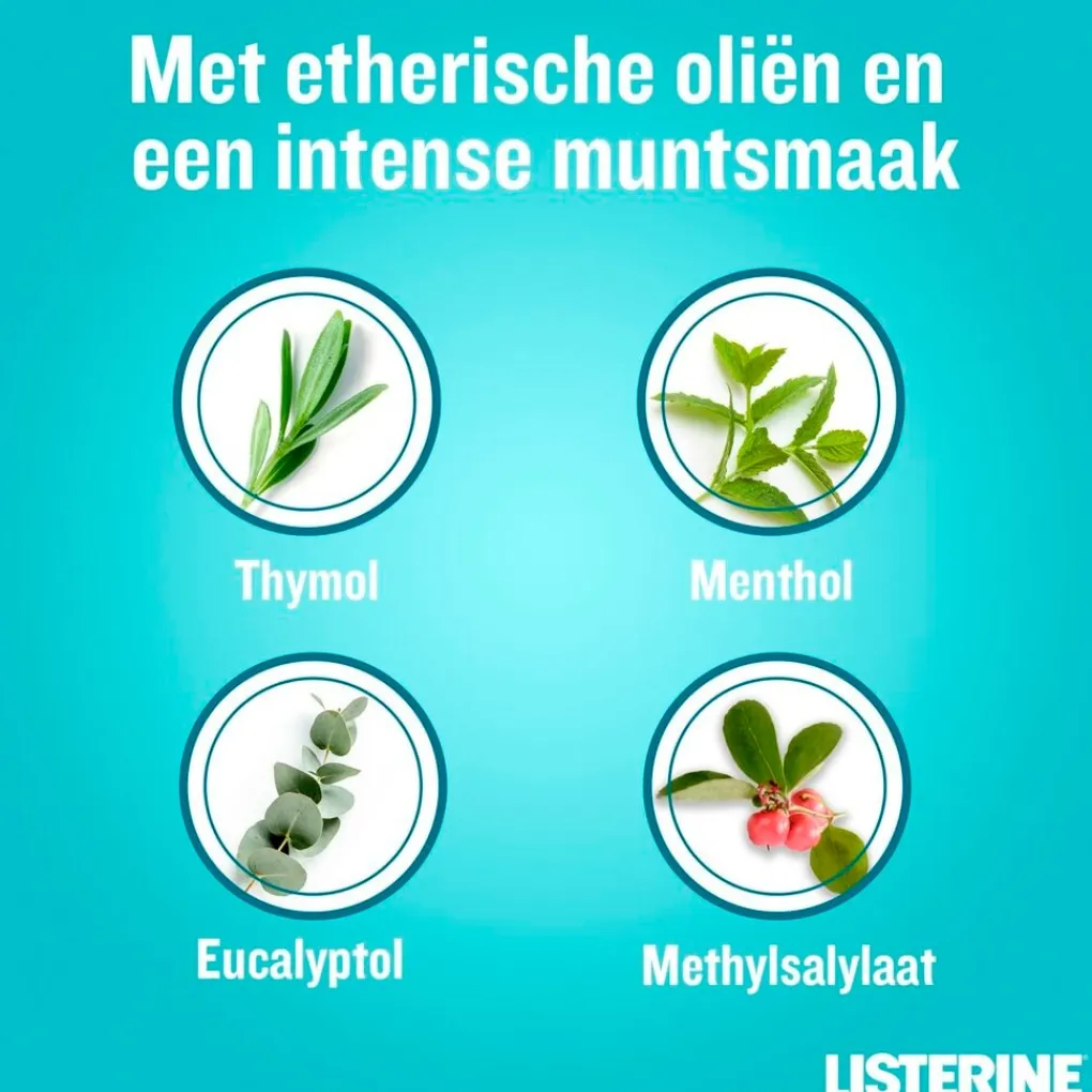 Listerine Cool Mint Mondspoeling Online