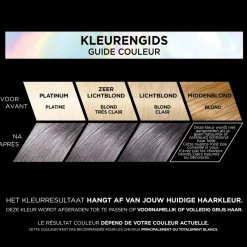 Preference L'Oréal Paris Préférence Les Vivids 9.112 Smokey Grey Permanente Haarkleuring New