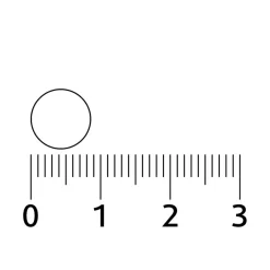 Lucovitaal Oesterkalk Calcium Vitamine D3 & K Tabletten Best