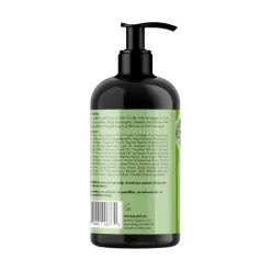 Mielle Rosemary Mint Strengthening Shampoo Best
