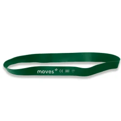 MoVeS Miniband Online