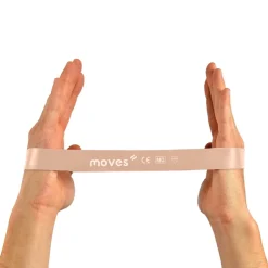 MoVeS Miniband Online