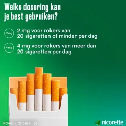 Nicorette Menthol Mint 2mg Suikervrije Kauwgom Online