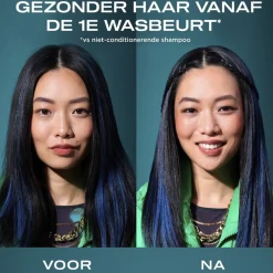 OGX Argan Oil of Morocco Repairing Shampoo Clearance