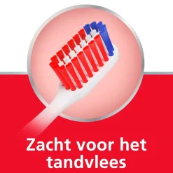 Parodontax Tandvlees & Tanden Tandenborstel New