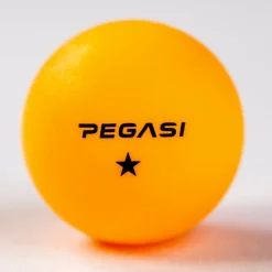 Pegasi 1 ster pingpong ballen 6st.