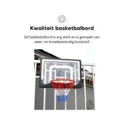 Pegasi basketbalbord Fun Sale