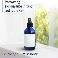 Pyunkang Yul Mist Toner Discount