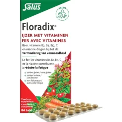 Floradix Salus Ijzer Tabletten New