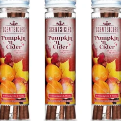 Scentsicles Pumpkin & Cider geurende kerstboomversiering met haken Best