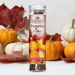 Scentsicles Pumpkin & Cider geurende kerstboomversiering met haken Best