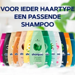 Schwarzkopf Argan Oil & Repair Shampoo Best