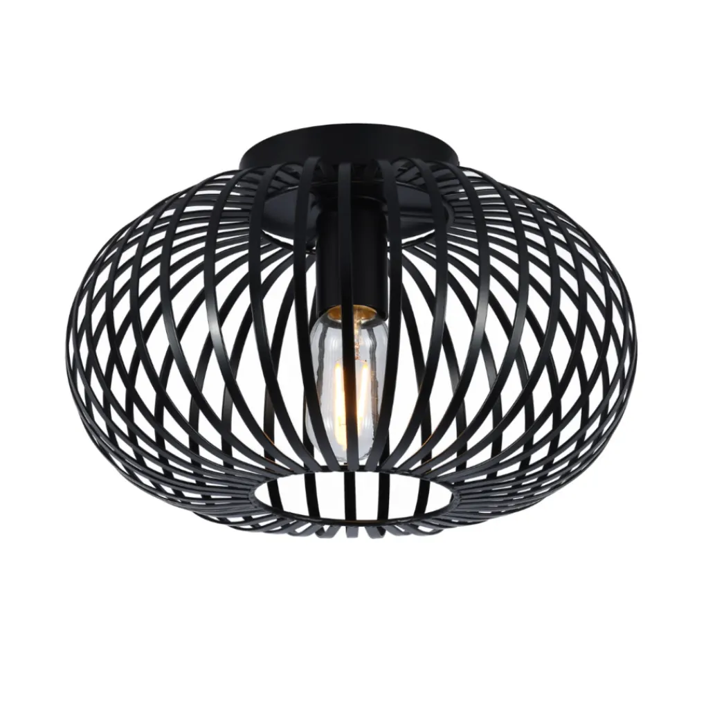 SensaHome Plafondlamp Industrieel Plafonnière van Metaal Retro Wire Kooi Design Clearance