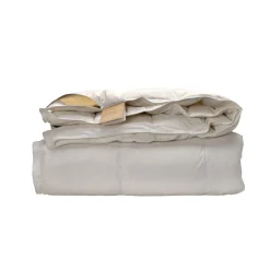 Ten Cate 100% Ganzendonzen 4-Seizoenen Dekbed Discount