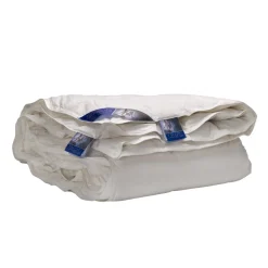 Ten Cate Eendendonzen 4-Seizoenen Dekbed Best