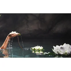 Therme Zen White Lotus Energizing Body Mist Sale