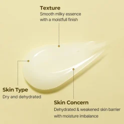 TORRIDEN SOLID-IN All Day Essence