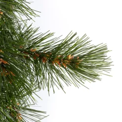 Triumph Tree Kerstkrans Best