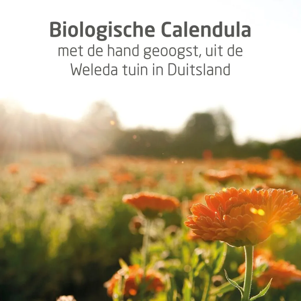 Weleda Baby Calendula Alles-in-één Balsem Hot