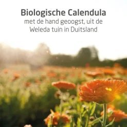 Weleda Calendula Weer en Windbalsem Discount
