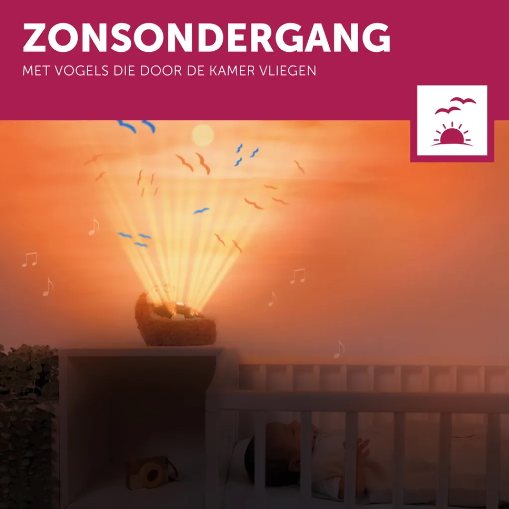 Zazu Henry de Egel Zonsondergang Projector Sale